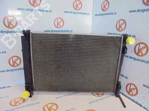 Køler CHRYSLER VOYAGER IV (RG, RS) [1999-2008]  2478962