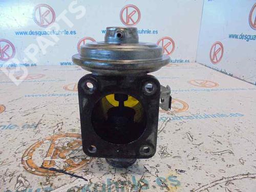 Egr BMW 3 (E46)  BP2455202M69