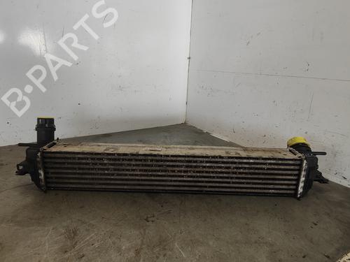 Intercooler RENAULT LAGUNA Coupe (DT0/1) 1.5 dCi | BP30082960M30 
