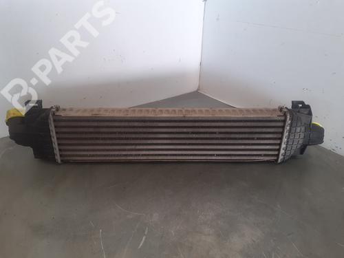 Intercooler FORD FOCUS II (DA_, HCP, DP)  | BP10569154M30 