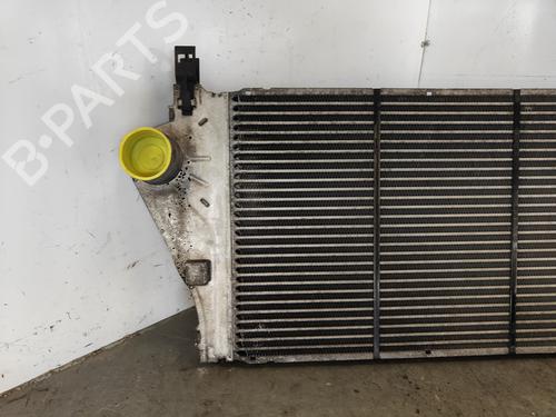 Intercooler RENAULT LAGUNA II (BG0/1_) 2.0 16V (BG03, BG0Z, BG0T, BG1Y) | BP29831206M30