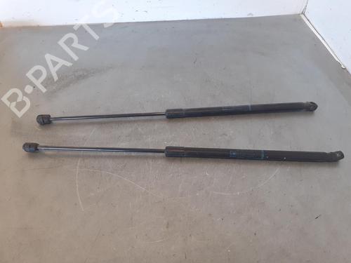 Used Tailgate lift support OPEL CORSA D (S07) 1.3 CDTI (L08, L68) (75 hp) 14188669