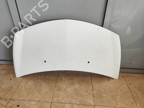 hood-renault-clio-iii-br01-cr01-2005-2006-2007-2008-2009-2010-2011-2012-2013-2014-36642432 main image