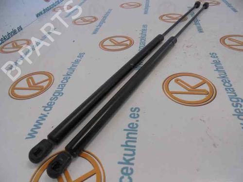Hood lift support MERCEDES-BENZ S-CLASS (W220) S 400 CDI (220.028, 220.128) | BP14182864C139 