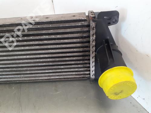 Intercooler RENAULT MASCOTT Platform/Chassis (UH_, HH_)  | BP7462388M30 