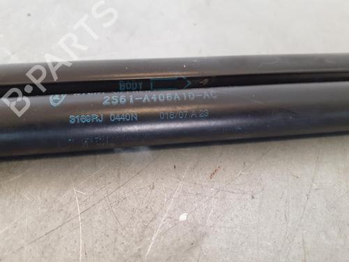 Tailgate lift support FORD FIESTA V (JH_, JD_)  | BP14188532C138 