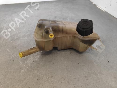 Used Expansion tank RENAULT SCÉNIC II (JM0/1_) [2003-2010]  13541495