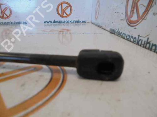 Hood lift support RENAULT MEGANE III Hatchback (BZ0/1_, B3_) 1.9 dCi (BZ0N, BZ0J) | BP14184909C139 