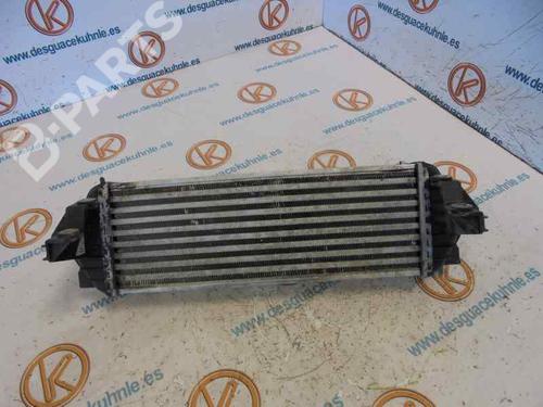 Intercooler FORD TOURNEO CONNECT | BP5023877M30
