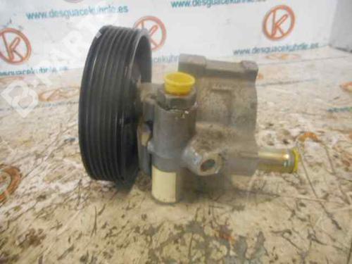 Servopumpe RENAULT LAGUNA II (BG0/1_) 1.9 dCi (BG08, BG0G) | BP2471213M99 