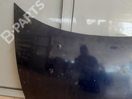 Hood CITROËN C3 I (FC_, FN_)  | BP9962362C1 