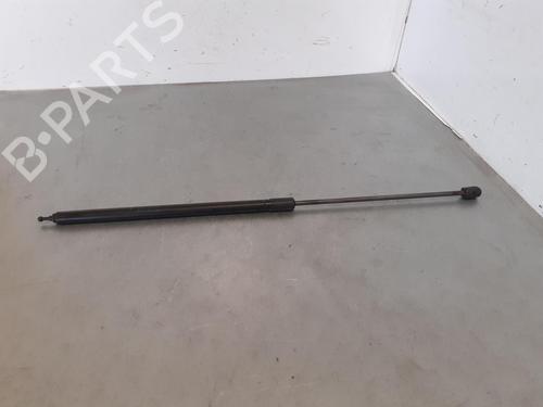 Used Hood lift support RENAULT MEGANE III Hatchback (BZ0/1_, B3_) [2008-2025]  14188307