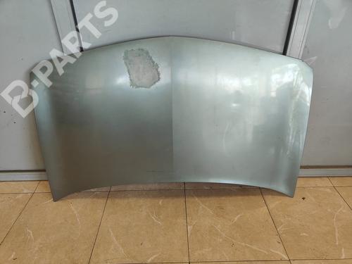 Used Hood RENAULT MEGANE II (BM0/1_, CM0/1_) [2001-2012]  11920802