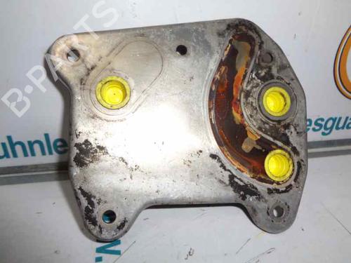 Oil radiator MERCEDES-BENZ VITO Van (W638) 112 CDI 2.2 (638.094) | BP14181688M33 
