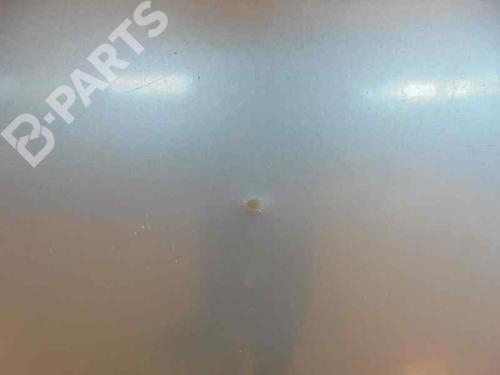 Hood FORD TOURNEO CONNECT  | BP4880690C1