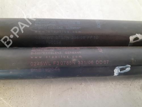 Tailgate lift support LAND ROVER RANGE ROVER SPORT I (L320)  | BP14188406C138 