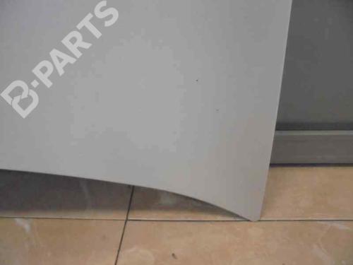Hood RENAULT MEGANE II (BM0/1_, CM0/1_) 1.5 dCi (BM0F, BM0T, BM2B, CM0F, CM0T) | BP2457520C1 