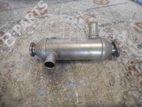 Egr PEUGEOT 406 Coupe (8C) 2.2 HDI | BP2495916M69 