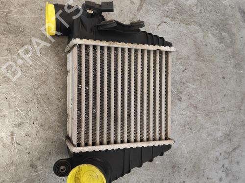 Used Intercooler Intercooler SKODA OCTAVIA I (1U2) 1.9 TDI (110 hp) 34538025 34538025