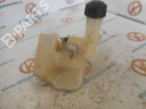 Expansion tank RENAULT LAGUNA II (BG0/1_) 1.9 dCi (BG1A, BG1V) | BP2494284C120 