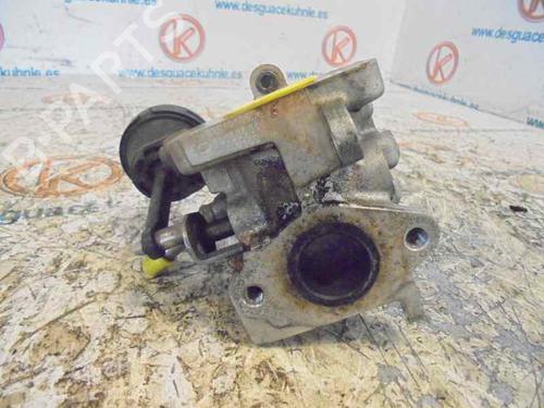 Egr SEAT TOLEDO III (5P2) | BP2454419M69