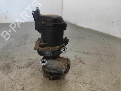 Egr CITROËN XSARA PICASSO (N68)  | BP17810219M69 