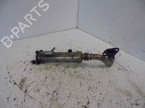 Egr NISSAN X-TRAIL I (T30)  | BP14186183M69 