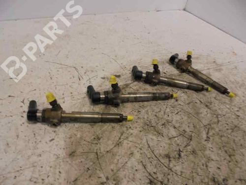 Injector RENAULT MEGANE II Saloon (LM0/1_)  | BP5339649M100 