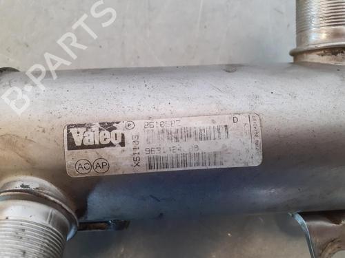 Egr CITROËN C5 I (DC_) | BP14188220M69