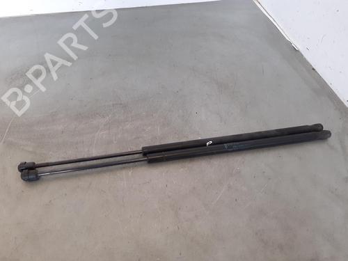 Used Tailgate lift support FORD FIESTA V (JH_, JD_) [2001-2014]  14188532