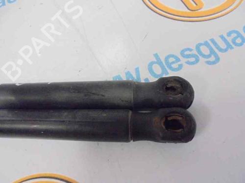Tailgate lift support SEAT IBIZA III (6L1)  | BP14183685C138 