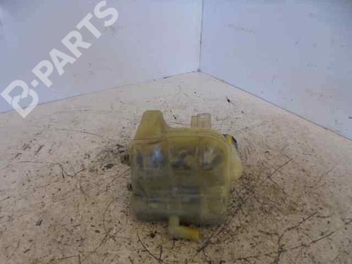 Expansion tank RENAULT LAGUNA II (BG0/1_) 1.9 dCi | BP5962454C120 