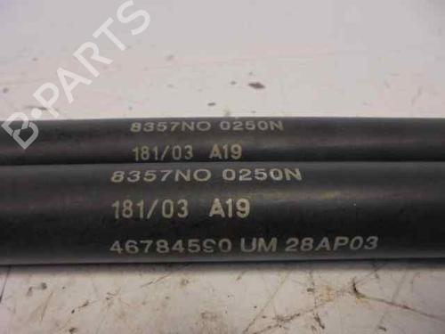 Hood lift support FIAT STILO (192_) 1.9 JTD (192_XE1A) | BP14185669C139 