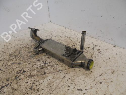Egr MERCEDES-BENZ S-CLASS (W221, V221) S 320 CDI (221.022, 221.122) | BP14187094M69 