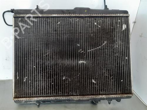 Water radiator PEUGEOT 206+ (2L_, 2M_)  | BP8219892M31 