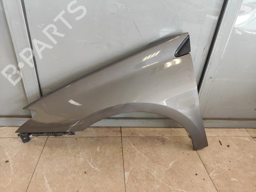 Used Left front fenders RENAULT LAGUNA Coupe (DT0/1) 1.5 dCi (110 hp) 29984212