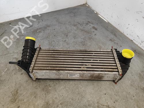 Intercooler Intercooler RENAULT KANGOO / GRAND KANGOO II (KW0/1_) 1.5 dCi 70 (KW0V, KW0A) (68 hp) 33698467 33698467