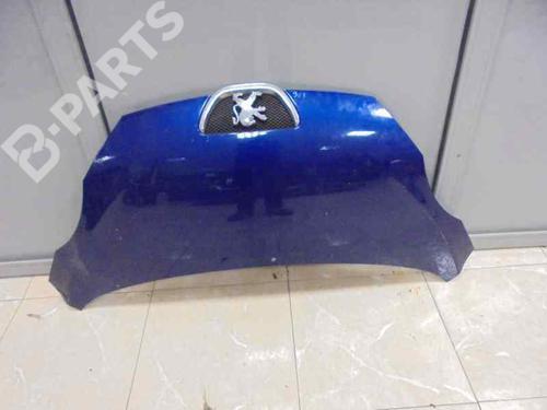 Motorhaube PEUGEOT 107 (PM_, PN_) 1.4 HDi (54 hp) 4937936