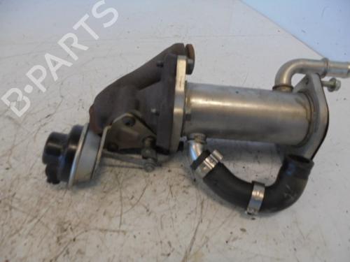 Egr DACIA SANDERO  | BP14187463M69