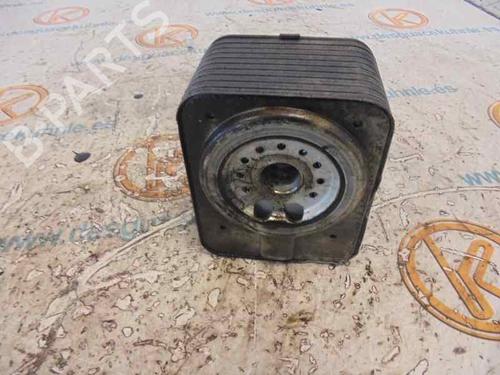 Oil radiator SEAT IBIZA III (6L1)  | BP14183698M33 