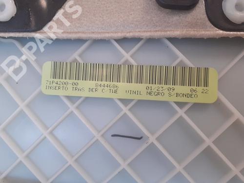 Rear right panel BMW X6 (E71, E72) xDrive 50 i | BP7910019C61 