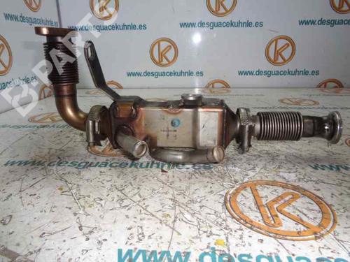 Egr LAND ROVER FREELANDER I (L314)  | BP2466308M69