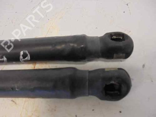 Tailgate lift support FIAT STILO (192_) 1.9 JTD (192_XE1A) | BP14185670C138 