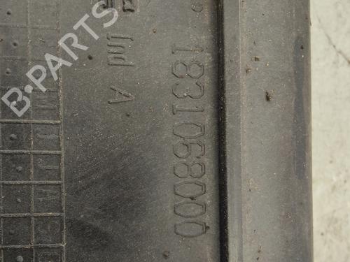 Radiator fan RENAULT LAGUNA II (BG0/1_) 2.0 16V (BG03, BG0Z, BG0T, BG1Y) | BP29834716M35