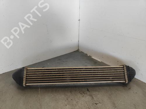 Intercooler MERCEDES-BENZ A-CLASS (W169)  | BP17151814M30 