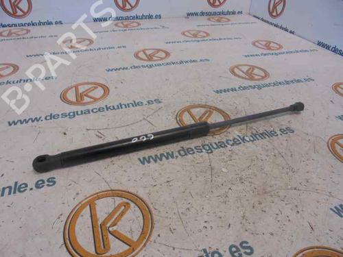 Used Hood lift support VW CADDY III Box Body/MPV (2KA, 2KH, 2CA, 2CH) 2.0 SDI (70 hp) 14178970