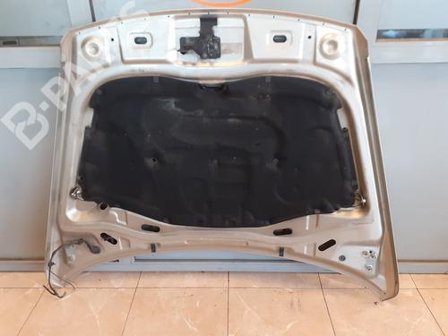 Hood VW TOUAREG (7LA, 7L6, 7L7)  | BP8873717C1 