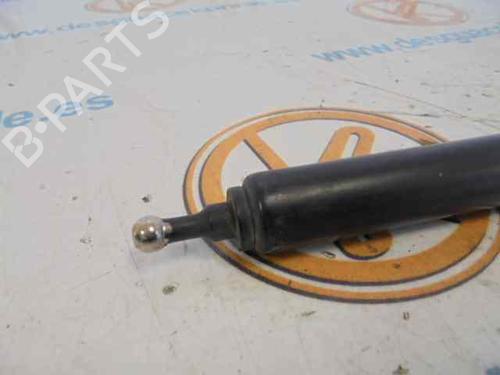 Hood lift support RENAULT MEGANE III Hatchback (BZ0/1_, B3_) 1.9 dCi (BZ0N, BZ0J) | BP14184909C139 
