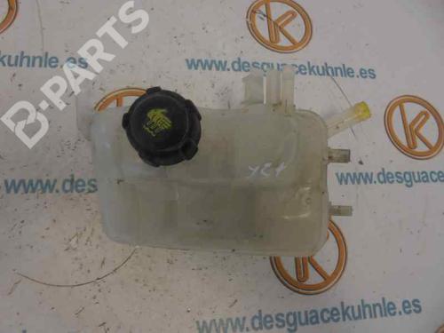 Used Expansion tank RENAULT MEGANE III Hatchback (BZ0/1_, B3_) 1.2 TCe (BZ2B, BZ11) (116 hp) 4492004