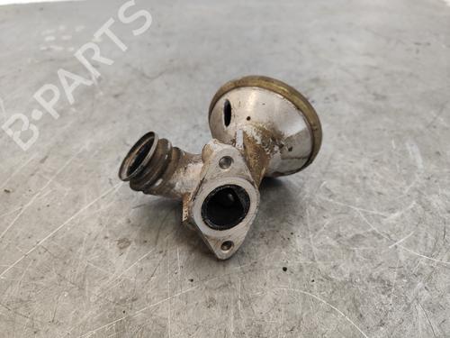 Egr PEUGEOT 206 Hatchback (2A/C)  | BP20036876M69 
